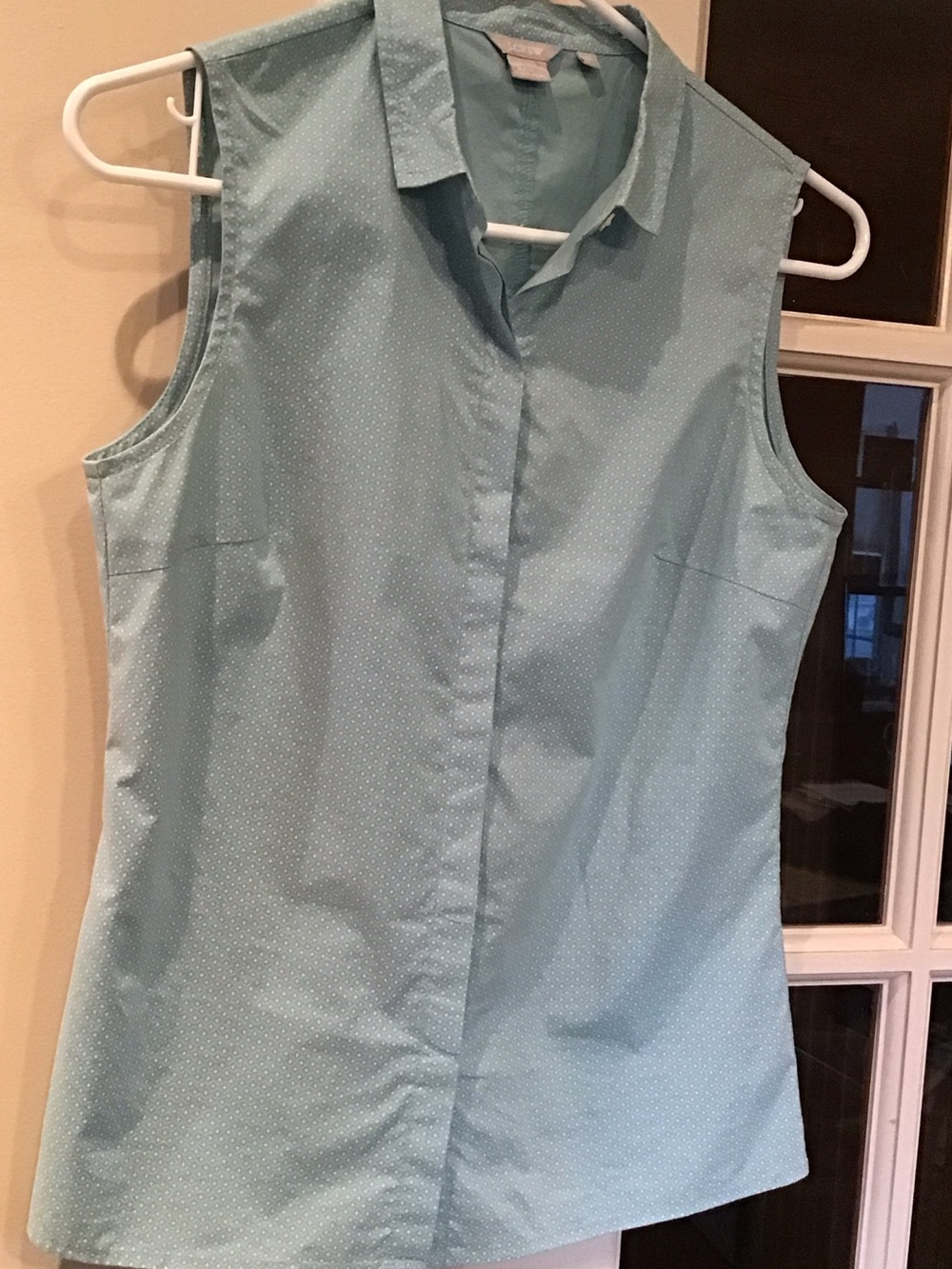 JCrew Sleeveless Collared Blouse